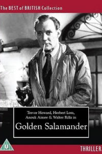 Golden Salamander