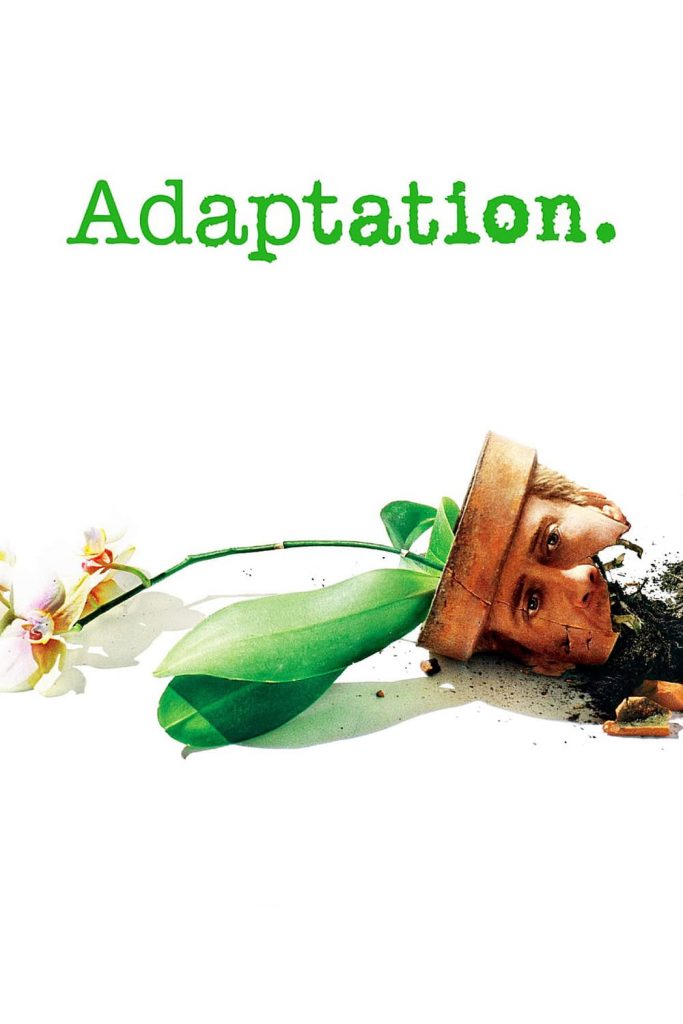 Adaptation